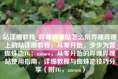 站详细教程_哔哩哔哩站怎么用哔哩哔哩上的站详细教程，从零开始，步步为营蜘蛛池TG：zzcseo，从零开始的哔哩哔哩站使用指南，详细教程与蜘蛛池技巧分享（附TG，zzcseo）