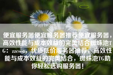 便宜服务器便宜服务器推荐便宜服务器，高效性能与成本效益的完美结合蜘蛛池TG：zzcseo，优质低价服务器推荐，高效性能与成本效益的完美结合，蜘蛛池TG助你轻松选购服务器！
