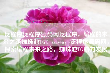 泛程序泛程序源码网泛程序，编程的未来之路蜘蛛池TG：zzcseo，泛程序源码网，探索编程未来之路，蜘蛛池TG助力发展