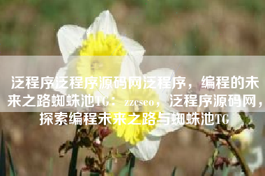 泛程序泛程序源码网泛程序，编程的未来之路蜘蛛池TG：zzcseo，泛程序源码网，探索编程未来之路与蜘蛛池TG