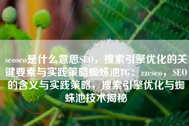 seoseo是什么意思SEO，搜索引擎优化的关键要素与实践策略蜘蛛池TG：zzcseo，SEO的含义与实践策略，搜索引擎优化与蜘蛛池技术揭秘