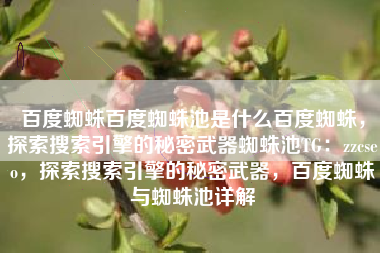 百度蜘蛛百度蜘蛛池是什么百度蜘蛛，探索搜索引擎的秘密武器蜘蛛池TG：zzcseo，探索搜索引擎的秘密武器，百度蜘蛛与蜘蛛池详解