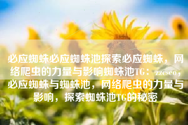 必应蜘蛛必应蜘蛛池探索必应蜘蛛，网络爬虫的力量与影响蜘蛛池TG：zzcseo，必应蜘蛛与蜘蛛池，网络爬虫的力量与影响，探索蜘蛛池TG的秘密