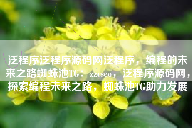 泛程序泛程序源码网泛程序，编程的未来之路蜘蛛池TG：zzcseo，泛程序源码网，探索编程未来之路，蜘蛛池TG助力发展