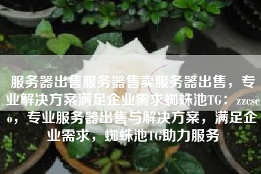 服务器出售服务器售卖服务器出售，专业解决方案满足企业需求蜘蛛池TG：zzcseo，专业服务器出售与解决方案，满足企业需求，蜘蛛池TG助力服务