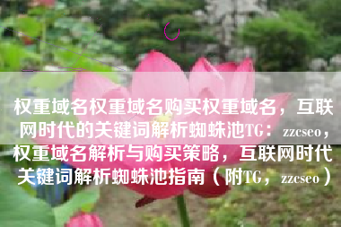 权重域名权重域名购买权重域名，互联网时代的关键词解析蜘蛛池TG：zzcseo，权重域名解析与购买策略，互联网时代关键词解析蜘蛛池指南（附TG，zzcseo）