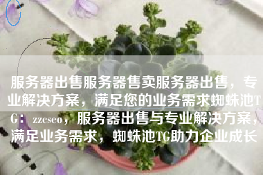 服务器出售服务器售卖服务器出售，专业解决方案，满足您的业务需求蜘蛛池TG：zzcseo，服务器出售与专业解决方案，满足业务需求，蜘蛛池TG助力企业成长