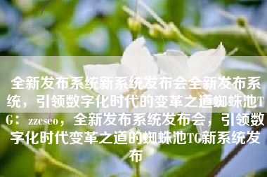 全新发布系统新系统发布会全新发布系统，引领数字化时代的变革之道蜘蛛池TG：zzcseo，全新发布系统发布会，引领数字化时代变革之道的蜘蛛池TG新系统发布