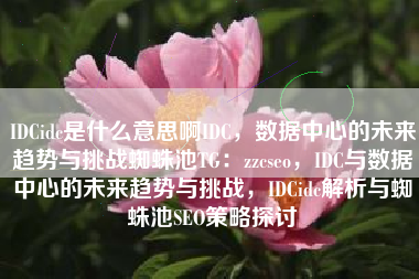 IDCidc是什么意思啊IDC，数据中心的未来趋势与挑战蜘蛛池TG：zzcseo，IDC与数据中心的未来趋势与挑战，IDCidc解析与蜘蛛池SEO策略探讨