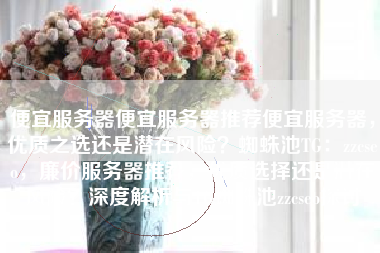 便宜服务器便宜服务器推荐便宜服务器，优质之选还是潜在风险？蜘蛛池TG：zzcseo，廉价服务器推荐，优质选择还是潜在风险？深度解析与TG蜘蛛池zzcseo探讨