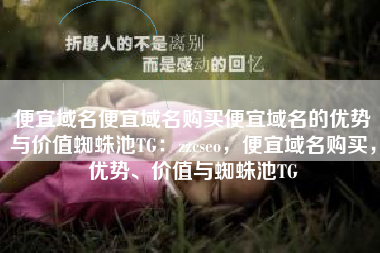 便宜域名便宜域名购买便宜域名的优势与价值蜘蛛池TG：zzcseo，便宜域名购买，优势、价值与蜘蛛池TG