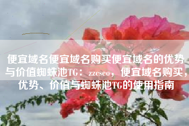 便宜域名便宜域名购买便宜域名的优势与价值蜘蛛池TG：zzcseo，便宜域名购买，优势、价值与蜘蛛池TG的使用指南