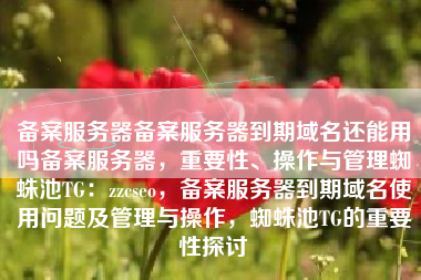备案服务器备案服务器到期域名还能用吗备案服务器，重要性、操作与管理蜘蛛池TG：zzcseo，备案服务器到期域名使用问题及管理与操作，蜘蛛池TG的重要性探讨