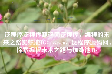 泛程序泛程序源码网泛程序，编程的未来之路蜘蛛池TG：zzcseo，泛程序源码网，探索编程未来之路与蜘蛛池TG