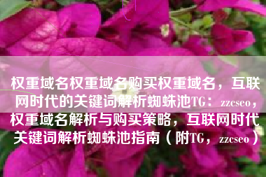 权重域名权重域名购买权重域名，互联网时代的关键词解析蜘蛛池TG：zzcseo，权重域名解析与购买策略，互联网时代关键词解析蜘蛛池指南（附TG，zzcseo）