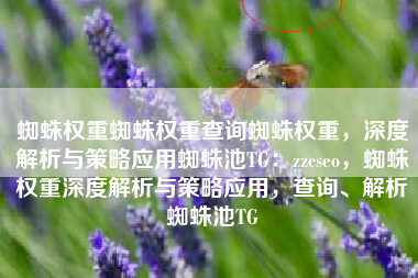 蜘蛛权重蜘蛛权重查询蜘蛛权重，深度解析与策略应用蜘蛛池TG：zzcseo，蜘蛛权重深度解析与策略应用，查询、解析蜘蛛池TG