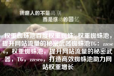 权重蜘蛛池百度权重蜘蛛ip权重蜘蛛池，提升网站流量的秘密武器蜘蛛池TG：zzcseo，权重蜘蛛池，提升网站流量的秘密武器，TG，zzcseo，打造高效蜘蛛池助力网站权重增长