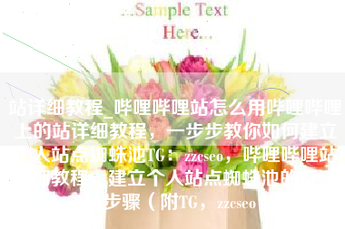 站详细教程_哔哩哔哩站怎么用哔哩哔哩上的站详细教程，一步步教你如何建立个人站点蜘蛛池TG：zzcseo，哔哩哔哩站详细教程，建立个人站点蜘蛛池的方法与步骤（附TG，zzcseo）