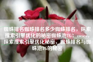 蜘蛛排名蜘蛛排名多少蜘蛛排名，探索搜索引擎优化的秘密蜘蛛池TG：zzcseo，探索搜索引擎优化秘密，蜘蛛排名与蜘蛛池TG的秘密