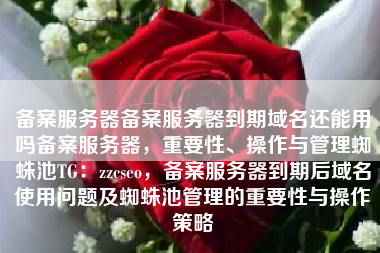 备案服务器备案服务器到期域名还能用吗备案服务器，重要性、操作与管理蜘蛛池TG：zzcseo，备案服务器到期后域名使用问题及蜘蛛池管理的重要性与操作策略