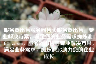 服务器出售服务器售卖服务器出售，专业解决方案，满足您的业务需求蜘蛛池TG：zzcseo，服务器出售与专业解决方案，满足业务需求，蜘蛛池TG助力您的企业成长