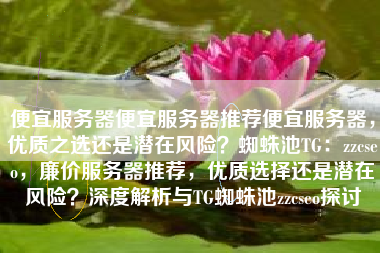 便宜服务器便宜服务器推荐便宜服务器，优质之选还是潜在风险？蜘蛛池TG：zzcseo，廉价服务器推荐，优质选择还是潜在风险？深度解析与TG蜘蛛池zzcseo探讨