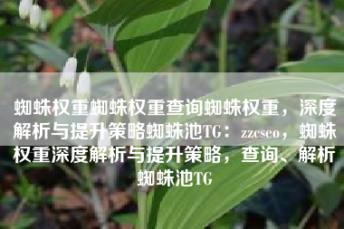 蜘蛛权重蜘蛛权重查询蜘蛛权重，深度解析与提升策略蜘蛛池TG：zzcseo，蜘蛛权重深度解析与提升策略，查询、解析蜘蛛池TG