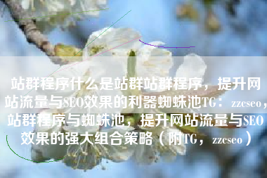 站群程序什么是站群站群程序，提升网站流量与SEO效果的利器蜘蛛池TG：zzcseo，站群程序与蜘蛛池，提升网站流量与SEO效果的强大组合策略（附TG，zzcseo）
