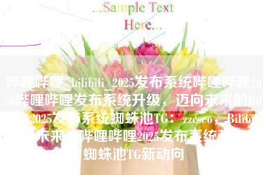 哔哩哔哩_bilibili_2025发布系统哔哩哔哩2050哔哩哔哩发布系统升级，迈向未来的Bilibili 2025发布系统蜘蛛池TG：zzcseo，Bilibili迈向未来，哔哩哔哩2025发布系统升级与蜘蛛池TG新动向