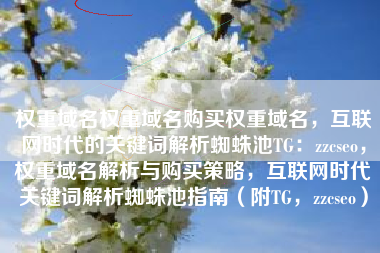 权重域名权重域名购买权重域名，互联网时代的关键词解析蜘蛛池TG：zzcseo，权重域名解析与购买策略，互联网时代关键词解析蜘蛛池指南（附TG，zzcseo）