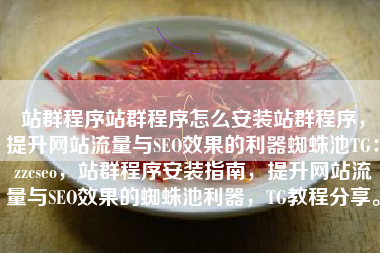 站群程序站群程序怎么安装站群程序，提升网站流量与SEO效果的利器蜘蛛池TG：zzcseo，站群程序安装指南，提升网站流量与SEO效果的蜘蛛池利器，TG教程分享。