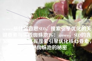 seoseo是什么意思SEO，搜索引擎优化的关键要素与实践蜘蛛池TG：zzcseo，SEO的含义与实践，掌握搜索引擎优化核心要素，揭秘蜘蛛池的秘密