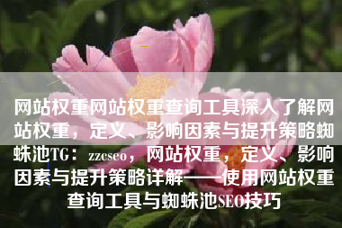 网站权重网站权重查询工具深入了解网站权重，定义、影响因素与提升策略蜘蛛池TG：zzcseo，网站权重，定义、影响因素与提升策略详解——使用网站权重查询工具与蜘蛛池SEO技巧