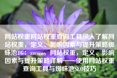 网站权重网站权重查询工具深入了解网站权重，定义、影响因素与提升策略蜘蛛池TG：zzcseo，网站权重，定义、影响因素与提升策略详解——使用网站权重查询工具与蜘蛛池SEO技巧