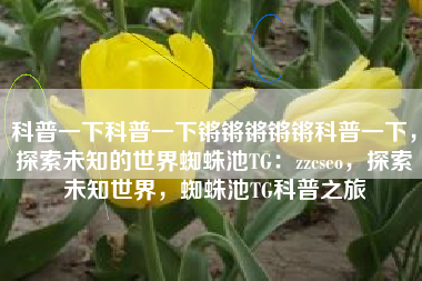 科普一下科普一下锵锵锵锵锵科普一下，探索未知的世界蜘蛛池TG：zzcseo，探索未知世界，蜘蛛池TG科普之旅