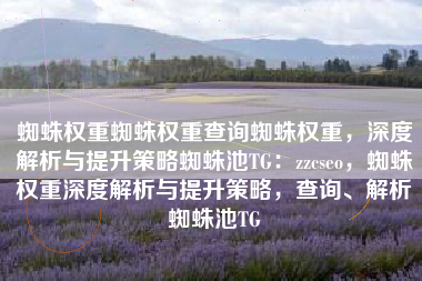蜘蛛权重蜘蛛权重查询蜘蛛权重，深度解析与提升策略蜘蛛池TG：zzcseo，蜘蛛权重深度解析与提升策略，查询、解析蜘蛛池TG