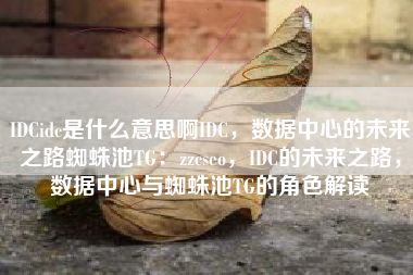 IDCidc是什么意思啊IDC，数据中心的未来之路蜘蛛池TG：zzcseo，IDC的未来之路，数据中心与蜘蛛池TG的角色解读