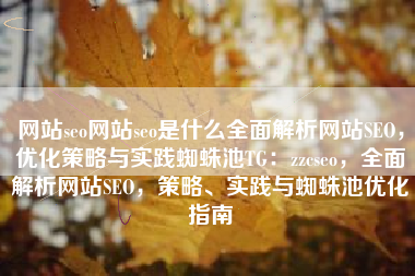 网站seo网站seo是什么全面解析网站SEO，优化策略与实践蜘蛛池TG：zzcseo，全面解析网站SEO，策略、实践与蜘蛛池优化指南