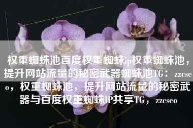 权重蜘蛛池百度权重蜘蛛ip权重蜘蛛池，提升网站流量的秘密武器蜘蛛池TG：zzcseo，权重蜘蛛池，提升网站流量的秘密武器与百度权重蜘蛛IP共享TG，zzcseo