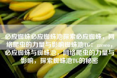 必应蜘蛛必应蜘蛛池探索必应蜘蛛，网络爬虫的力量与影响蜘蛛池TG：zzcseo，必应蜘蛛与蜘蛛池，网络爬虫的力量与影响，探索蜘蛛池TG的秘密