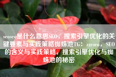 seoseo是什么意思SEO，搜索引擎优化的关键要素与实践策略蜘蛛池TG：zzcseo，SEO的含义与实践策略，搜索引擎优化与蜘蛛池的秘密
