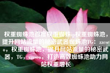 权重蜘蛛池百度权重蜘蛛ip权重蜘蛛池，提升网站流量的秘密武器蜘蛛池TG：zzcseo，权重蜘蛛池，提升网站流量的秘密武器，TG，zzcseo，打造高效蜘蛛池助力网站权重增长