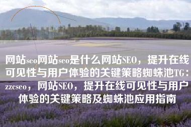 网站seo网站seo是什么网站SEO，提升在线可见性与用户体验的关键策略蜘蛛池TG：zzcseo，网站SEO，提升在线可见性与用户体验的关键策略及蜘蛛池应用指南