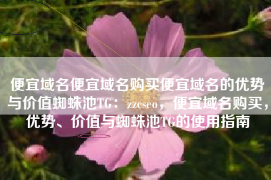 便宜域名便宜域名购买便宜域名的优势与价值蜘蛛池TG：zzcseo，便宜域名购买，优势、价值与蜘蛛池TG的使用指南