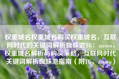 权重域名权重域名购买权重域名，互联网时代的关键词解析蜘蛛池TG：zzcseo，权重域名解析与购买策略，互联网时代关键词解析蜘蛛池指南（附TG，zzcseo）