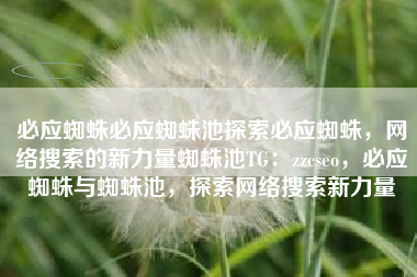 必应蜘蛛必应蜘蛛池探索必应蜘蛛，网络搜索的新力量蜘蛛池TG：zzcseo，必应蜘蛛与蜘蛛池，探索网络搜索新力量