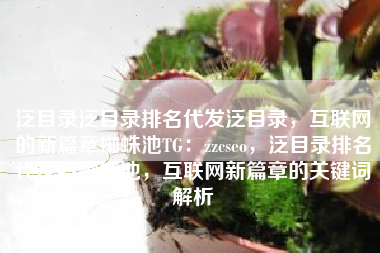 泛目录泛目录排名代发泛目录，互联网的新篇章蜘蛛池TG：zzcseo，泛目录排名代发与蜘蛛池，互联网新篇章的关键词解析