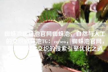 蜘蛛池蜘蛛池官网蜘蛛池，自然与人工的交织蜘蛛池TG：zzcseo，蜘蛛池官网，自然与人工交织的搜索引擎优化之道