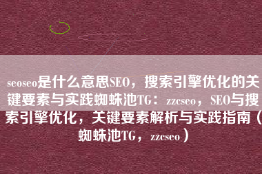 seoseo是什么意思SEO，搜索引擎优化的关键要素与实践蜘蛛池TG：zzcseo，SEO与搜索引擎优化，关键要素解析与实践指南（蜘蛛池TG，zzcseo）