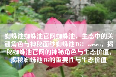 蜘蛛池蜘蛛池官网蜘蛛池，生态中的关键角色与神秘面纱蜘蛛池TG：zzcseo，揭秘蜘蛛池官网的神秘角色与生态价值，揭秘蜘蛛池TG的重要性与生态价值